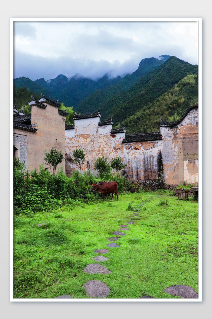 古建筑草坪黄牛田园休闲云海青山图片