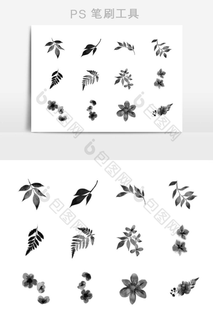 笔刷植物叶子图片图片