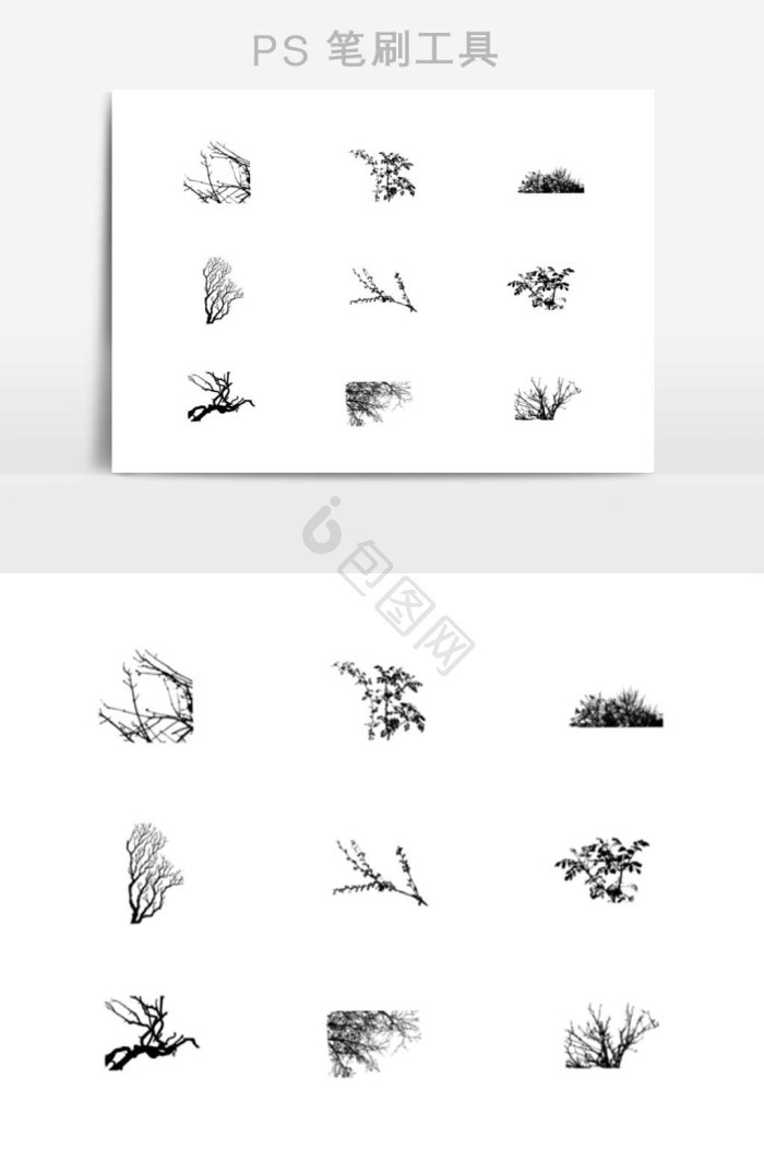 植物枝条图片-植物枝条图片模板