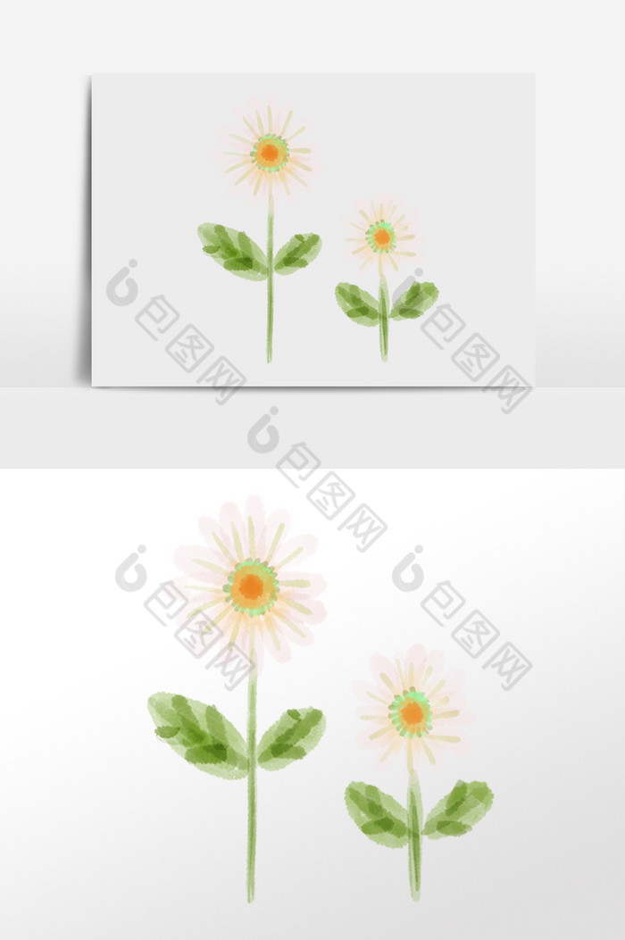 植物花草太阳花插画图片图片