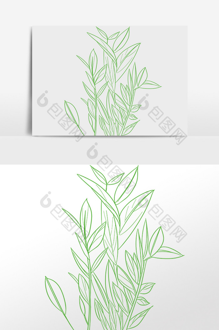 手绘绿色植物花草线描画插画
