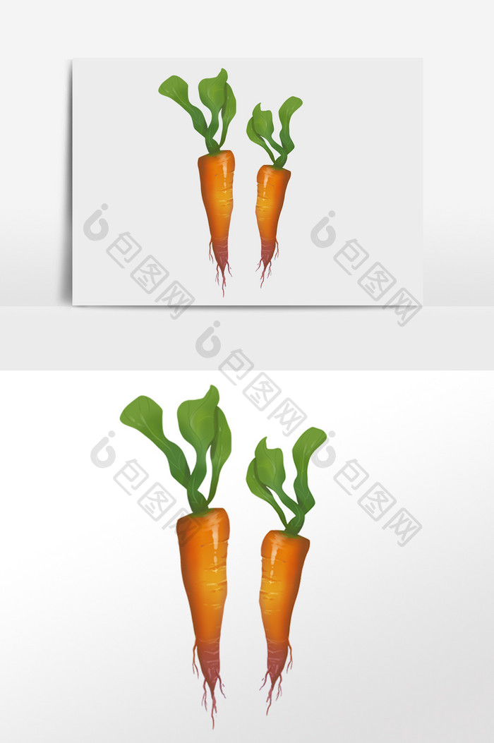 新鲜有机蔬菜红萝卜插画