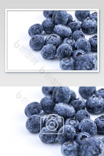大气蓝莓白底摄影图图片