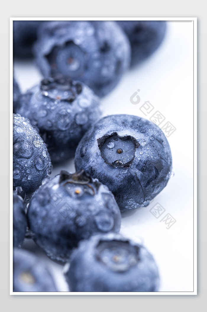 白底蓝莓微距摄影图图片图片