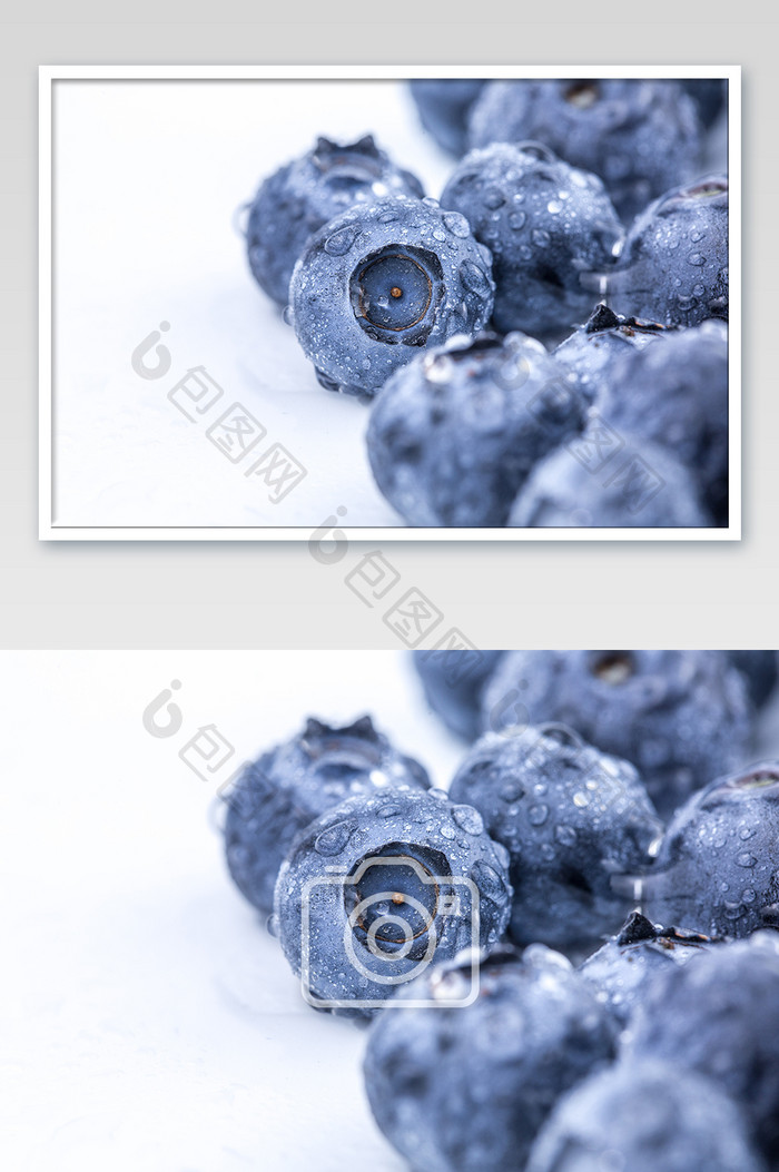 大气蓝莓微距摄影