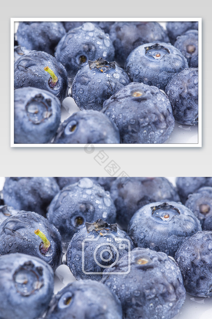 清新大气蓝莓微距摄影图片