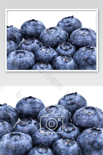 小清新蓝莓微距摄影图图片