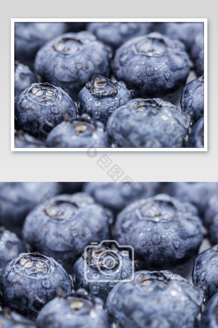 大气清新蓝莓摄影图