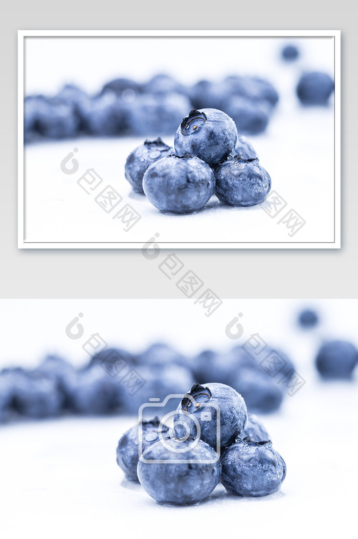 大气清新白底蓝莓摄影图