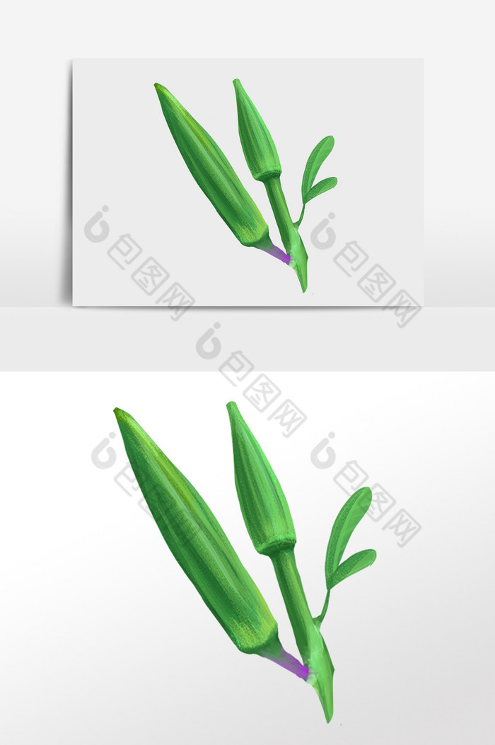 农作物新鲜蔬菜秋葵插画图片图片