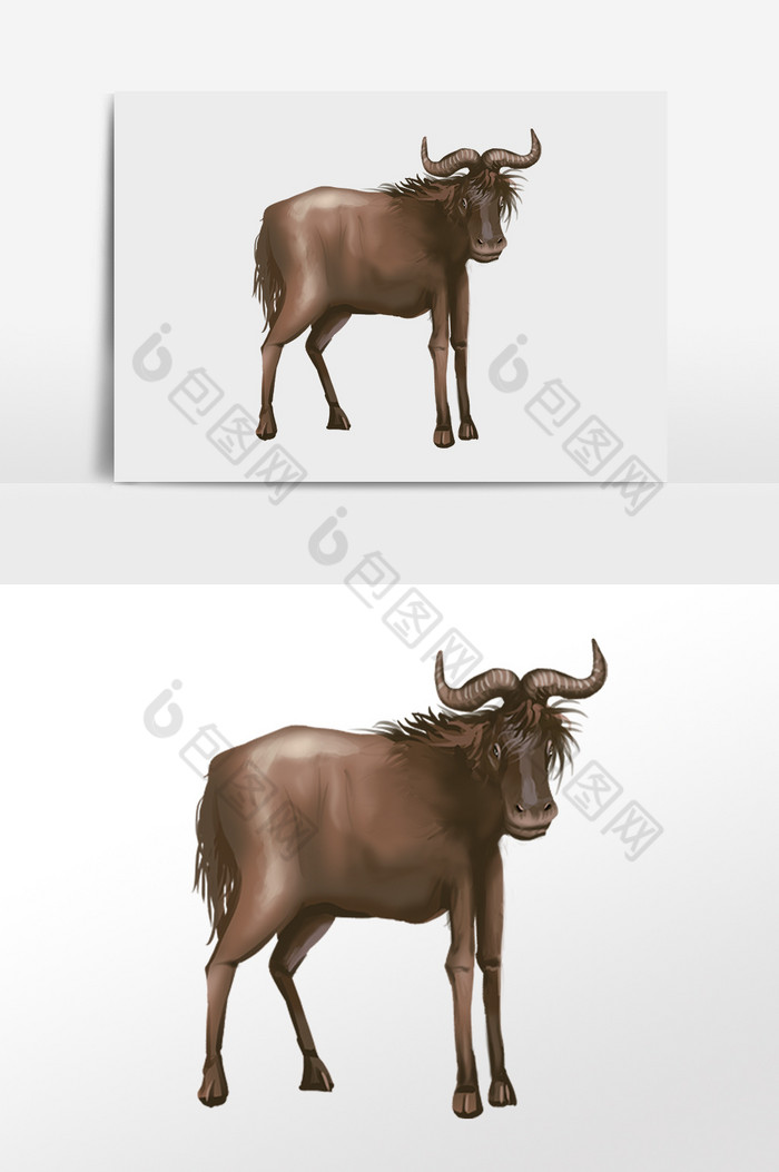 野生动物牛插画图片图片