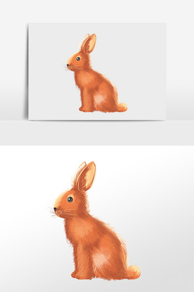 野生动物野兔子插画图片
