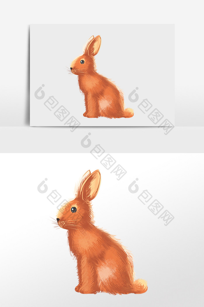 手绘卡通野生动物野兔子插画