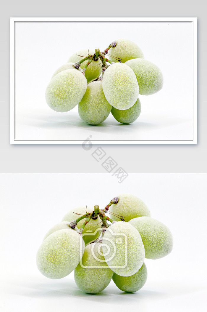 冻绿色葡萄横版白色背景冰葡萄图片