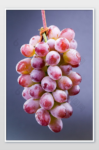 绿色水果粉嫩葡萄竖版拍摄茉莉香小蜜蜂图片