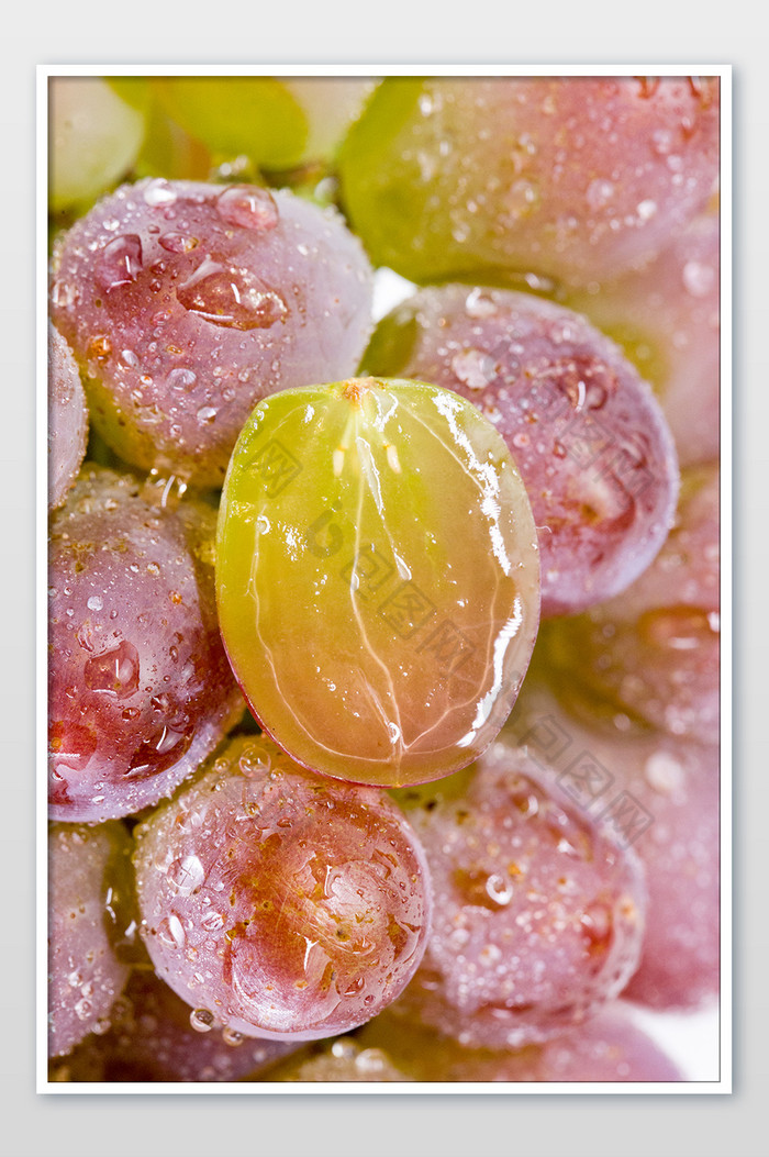 葡萄水果小蜜蜂图片