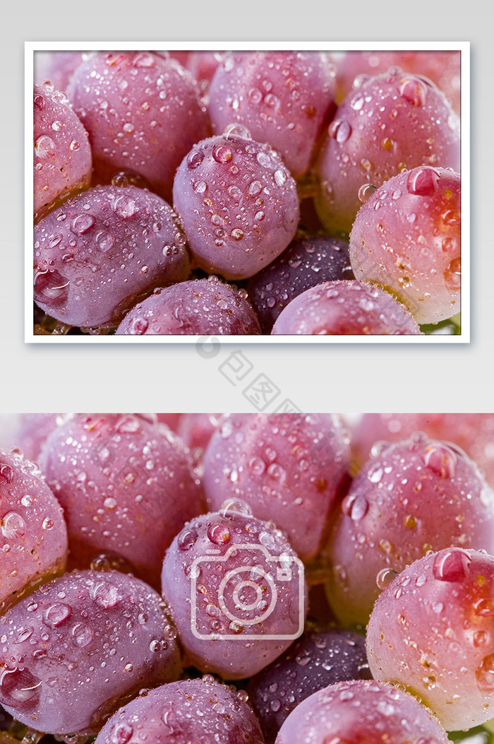 葡萄水果小蜜蜂图片