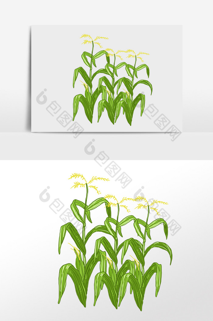 农作物庄家粮食插画图片图片