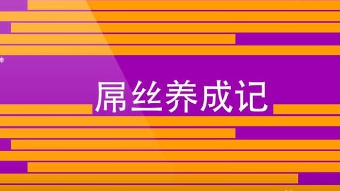 新款短剧屌丝男士片头AE模板