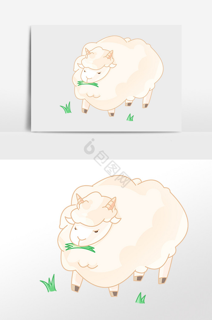 小动物绵羊插画图片