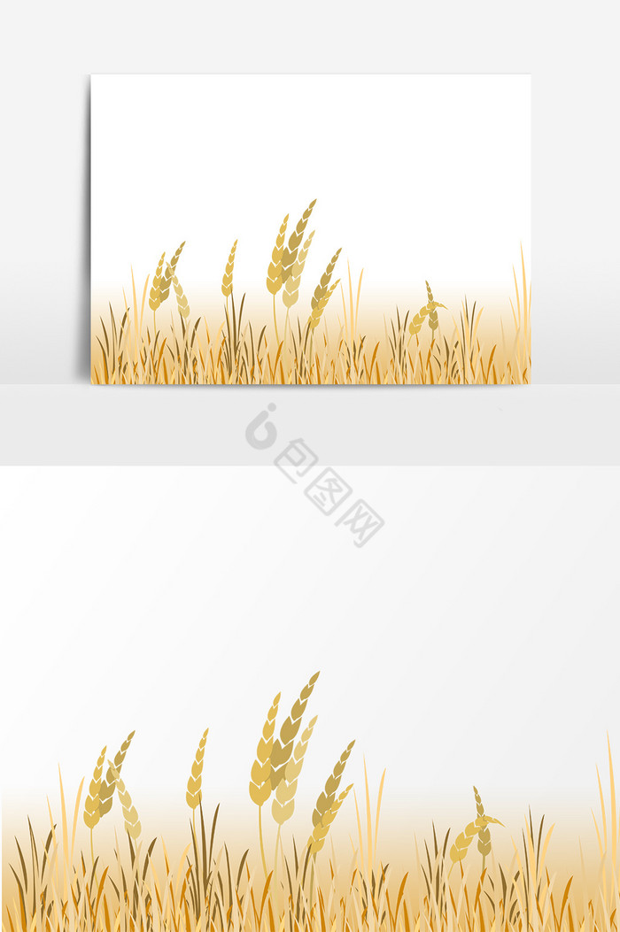 风小麦丰收图片
