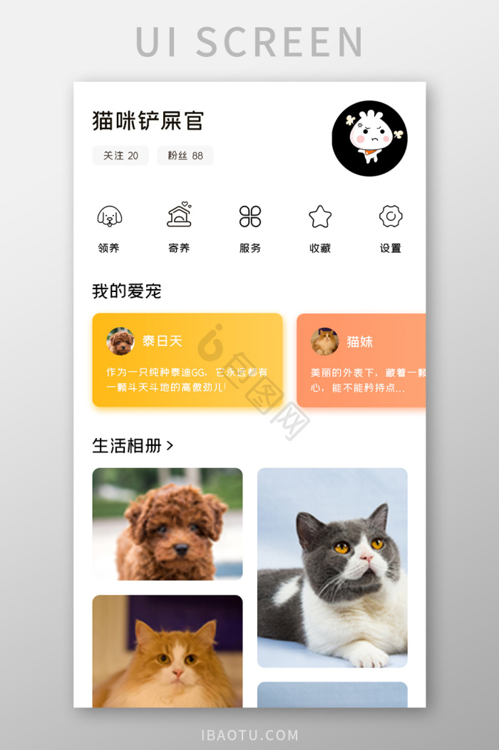 狗粮满溢：爱宠日常里的甜蜜时光