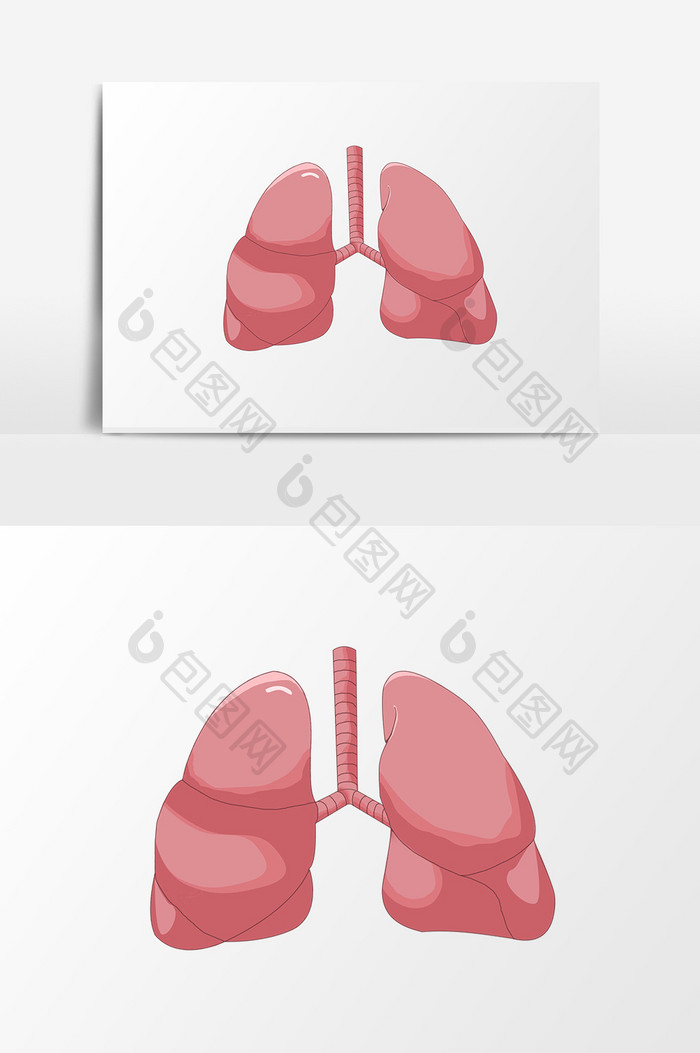 手绘卡通器官肺部插画
