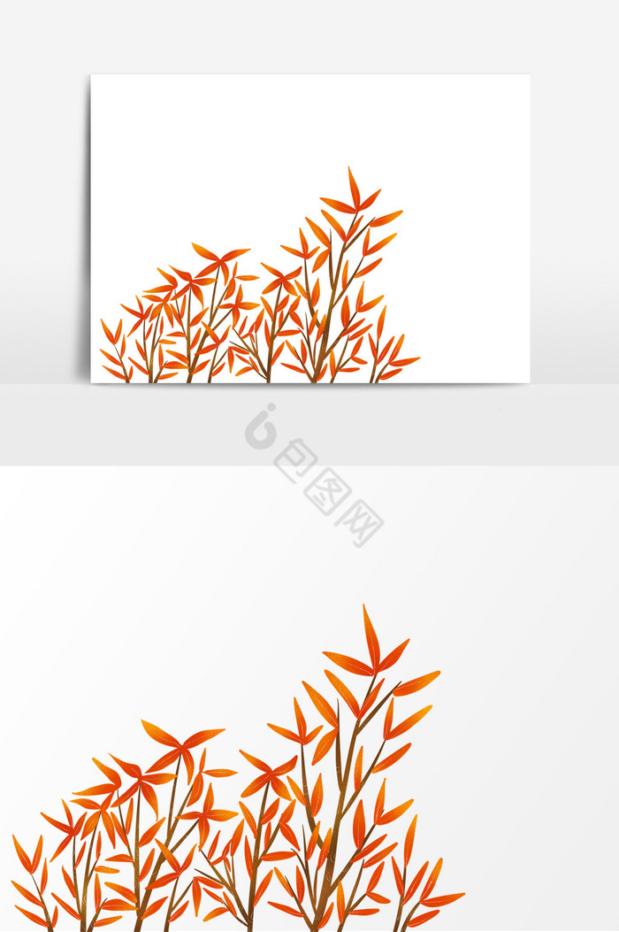 立秋树叶图片