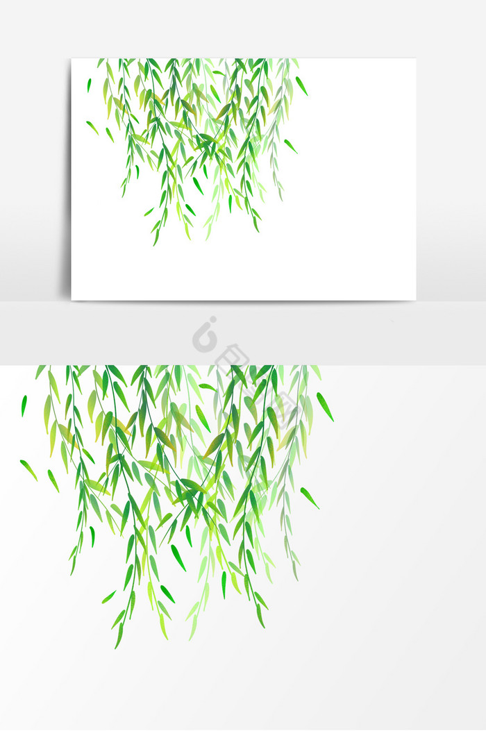 植物树叶柳枝形象图片