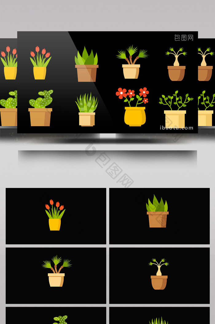 8组带通道盆栽植物元素视频素材