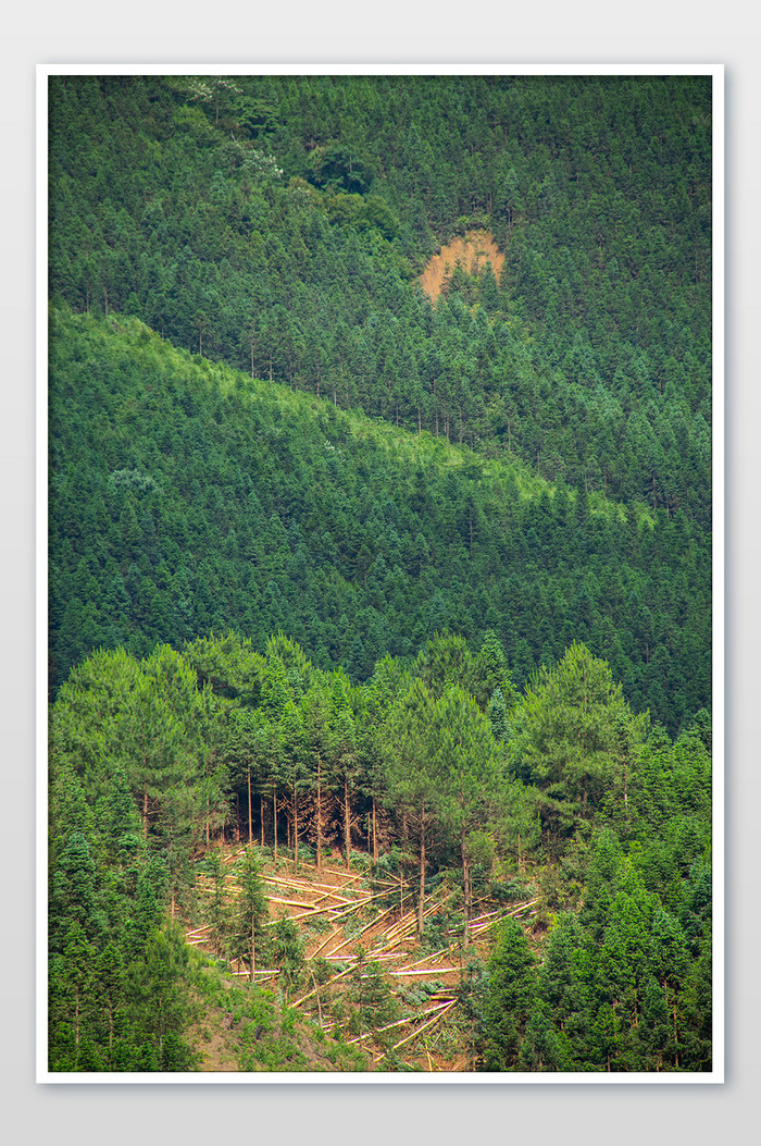 原始森林青山高山自然环境高清摄影图图片图片