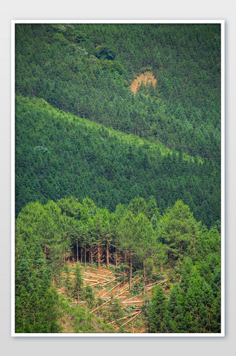 原始森林青山高山自然环境高清摄影图图片
