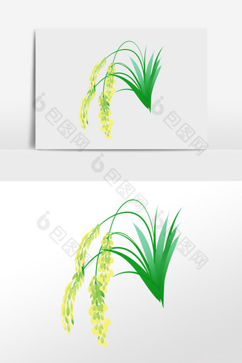 手绘稻谷绿色水稻粮食农作物插画图片