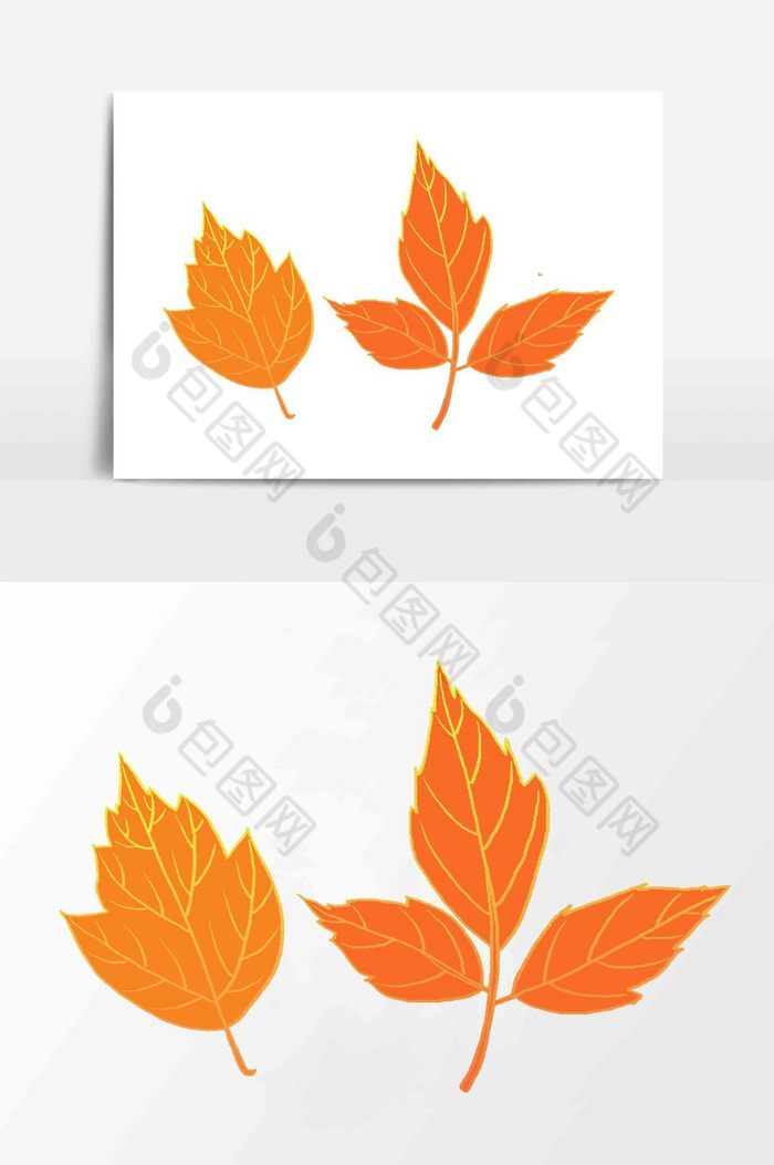 立秋树叶叶子图片图片