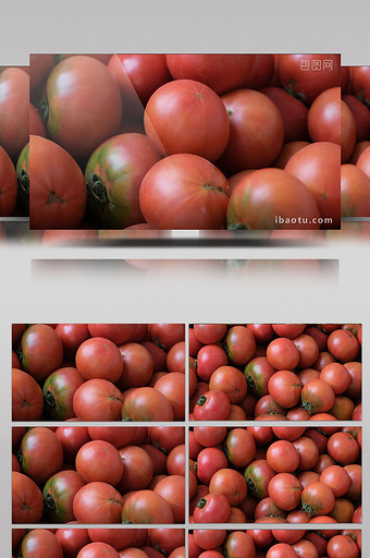 高清实拍红彤彤新鲜采摘的西红柿图片