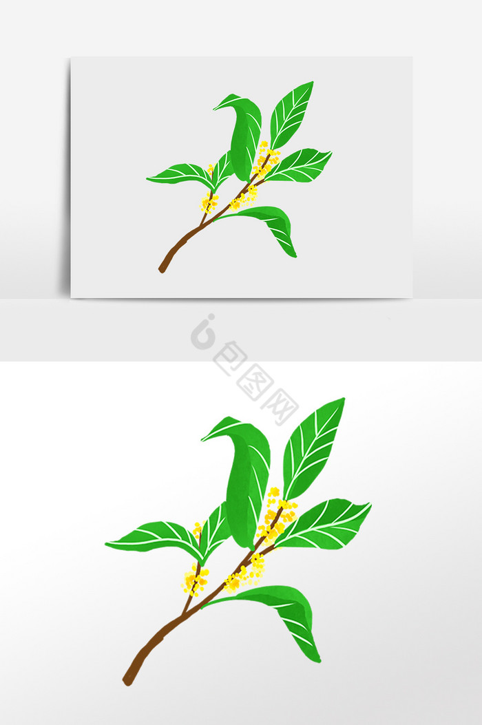 树枝叶枝桂花花枝插画下载桂花酿酒桂花花枝下载寒露桂花花枝酒水下载