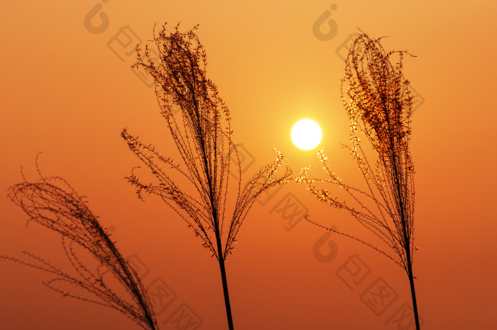 夕阳傍晚天空晚霞素材图片-包图网企业站