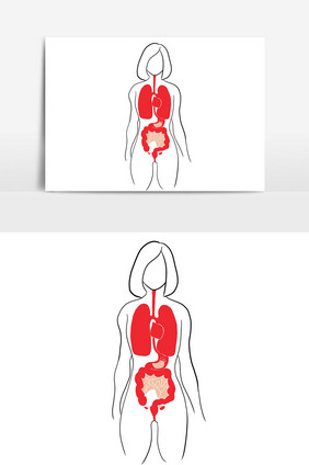 世界肝炎日女人内脏