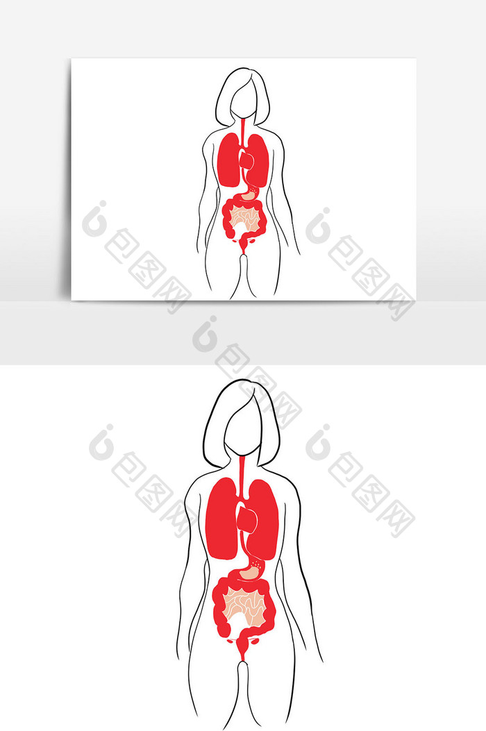 手绘世界肝炎日女人内脏元素