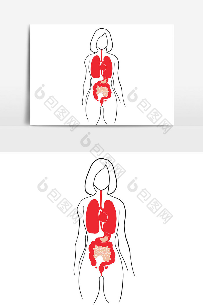 手繪世界肝炎日女人內臟元素圖片