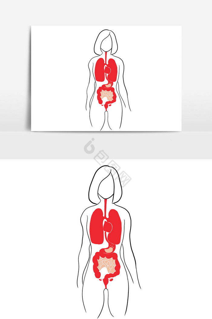 世界肝炎日女人内脏图片