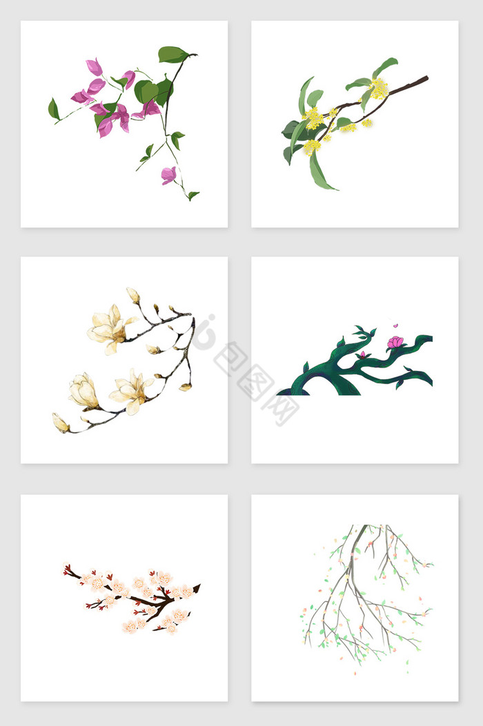开着各色花的树枝套图插画图片