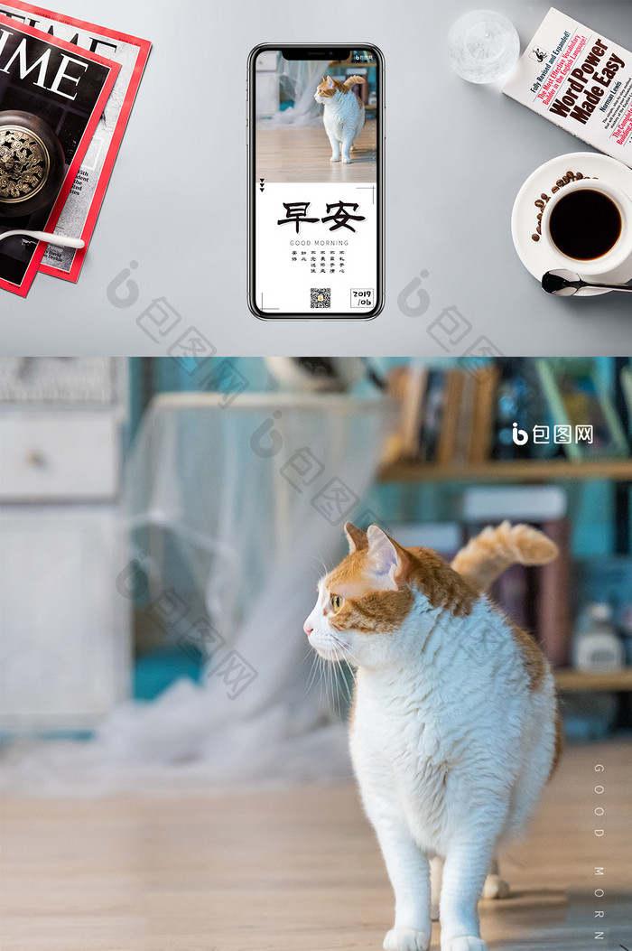 猫猫图片文艺简约早安海报