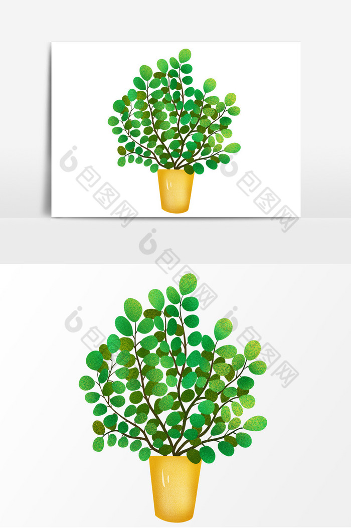 植物盆栽绿植图片图片