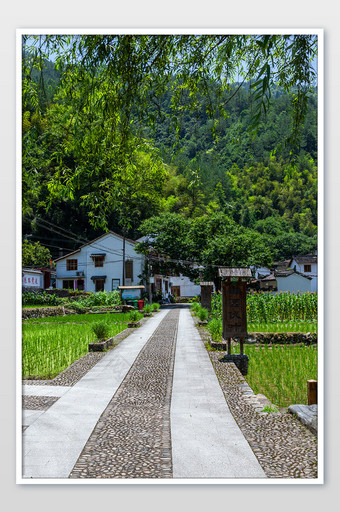 道路中式老房子畲族村落建筑摄影图图片