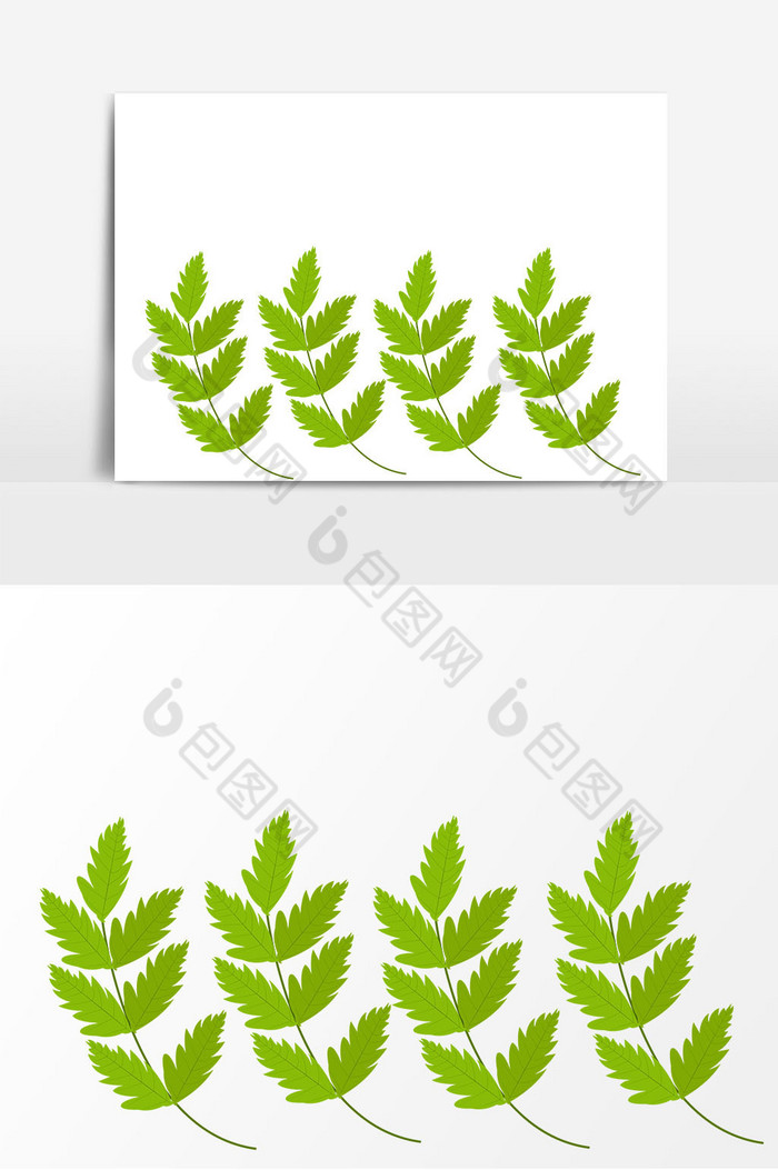 植物叶子图片图片