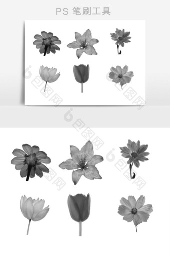 水墨植物花朵图形笔刷图片