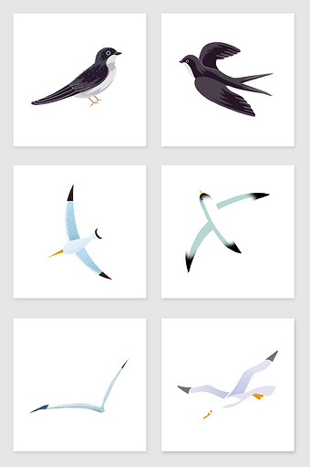 手绘海鸥和燕子套图插画元素图片