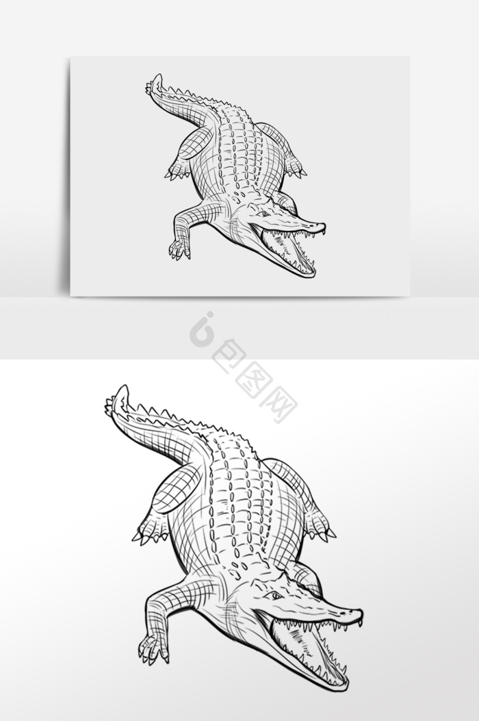 线描线稿野生动物小鳄鱼插画