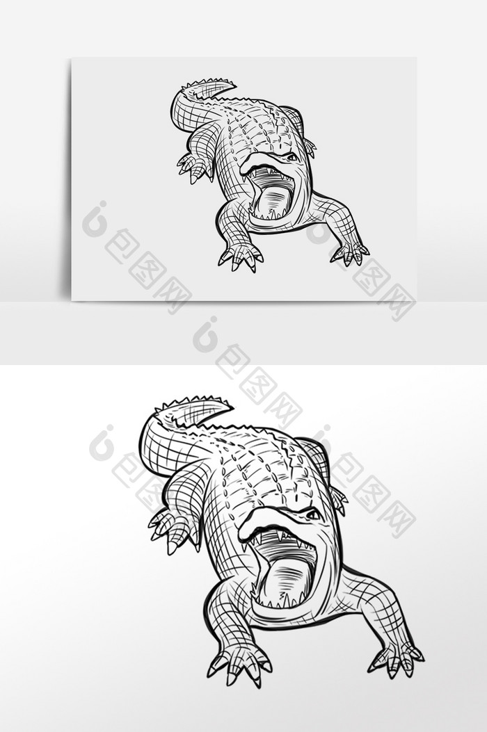 手绘线描线稿野生动物鳄鱼插画